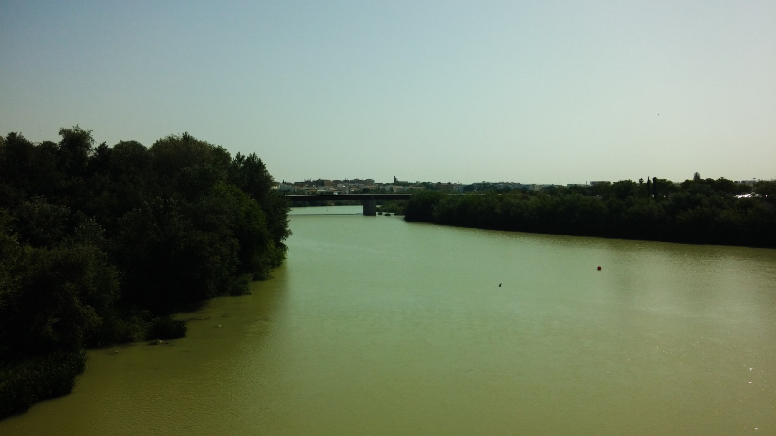 Roman Bridge in Córdoba, Spain