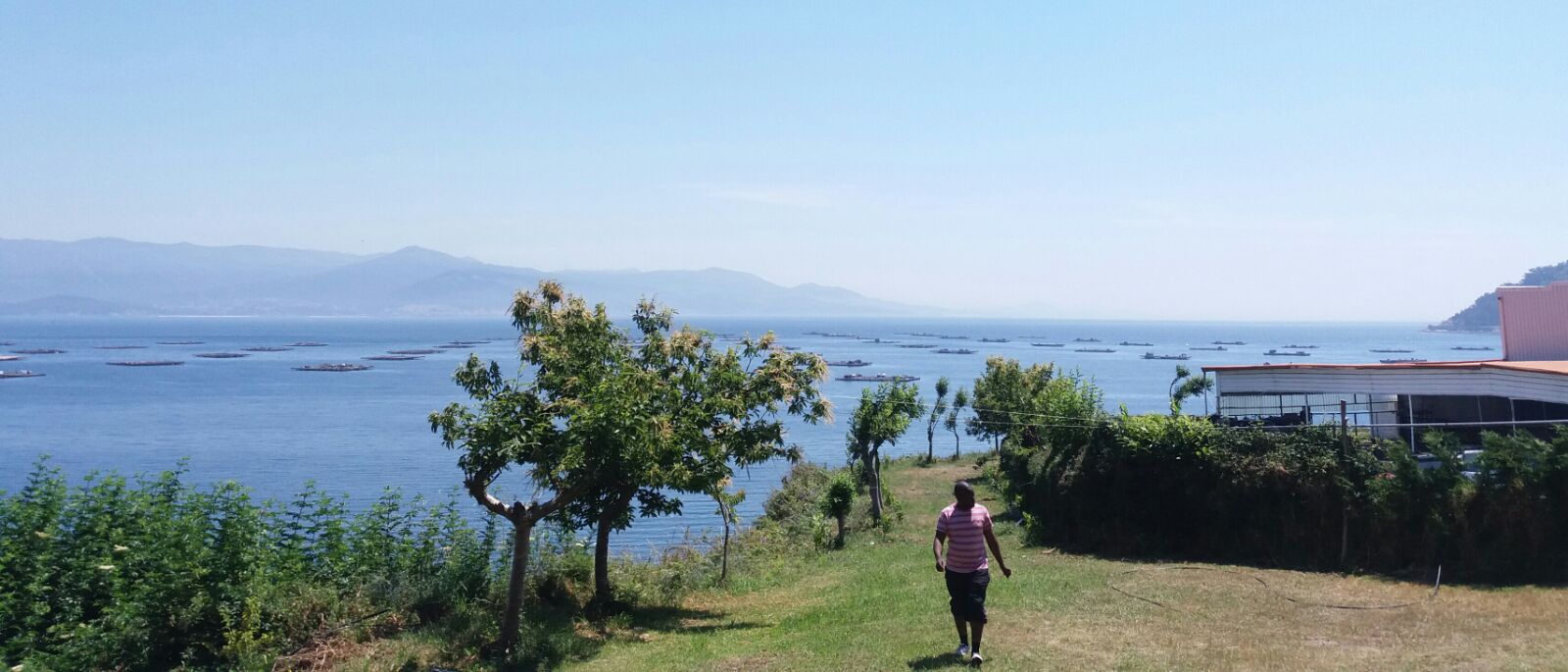 Bateas mussel rafts in Galicia, Spain